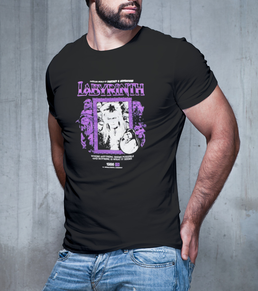 Dazzling World Of Fantasy And Adventure Labyrinth 1986 Where Anything Seems Possible And Nothing Is What It Seems T-Shirt