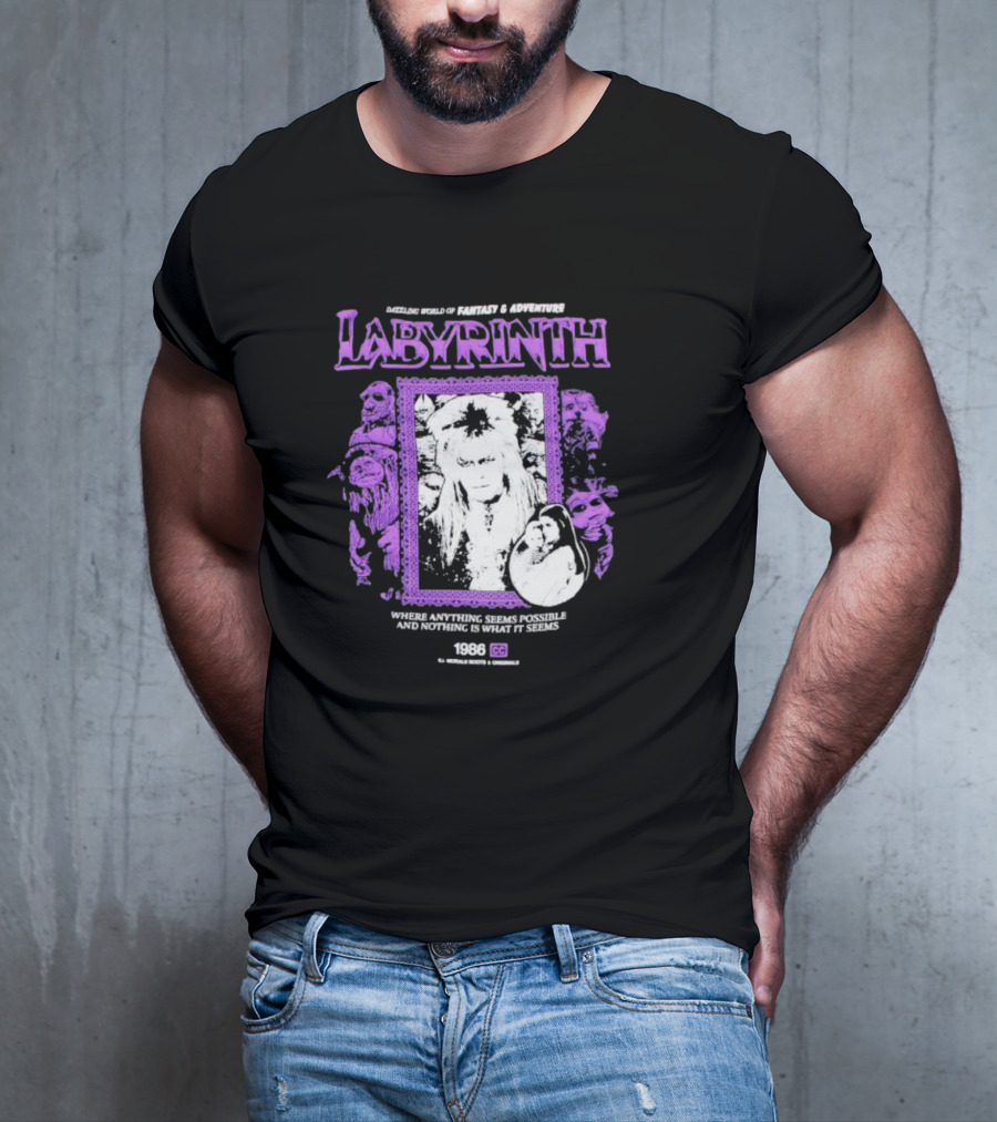 Dazzling World Of Fantasy And Adventure Labyrinth 1986 Where Anything Seems Possible And Nothing Is What It Seems T-Shirt