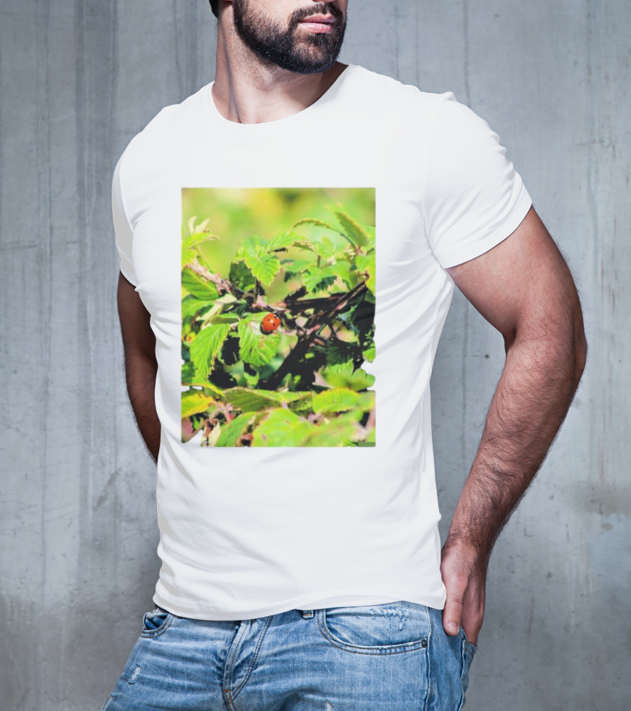 Spot In Nature With Ladybug On Leaf T-Shirt
