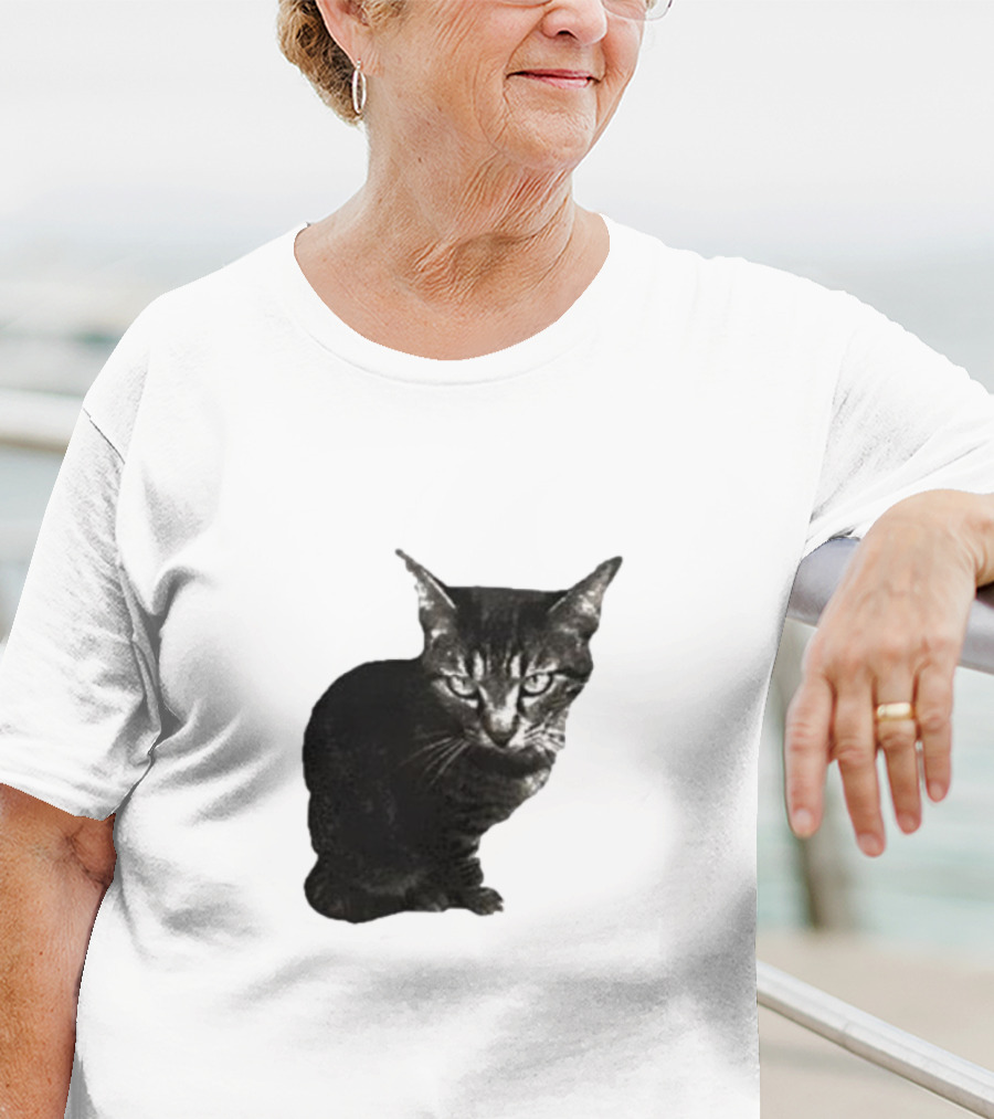 Smileymaya15 How Long Have I Been Here Kitten Cat Black Gray Tabby T-Shirt