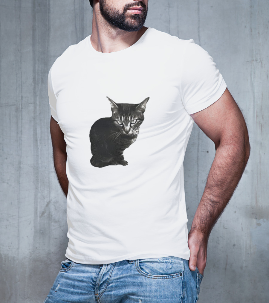 Smileymaya15 How Long Have I Been Here Kitten Cat Black Gray Tabby T-Shirt