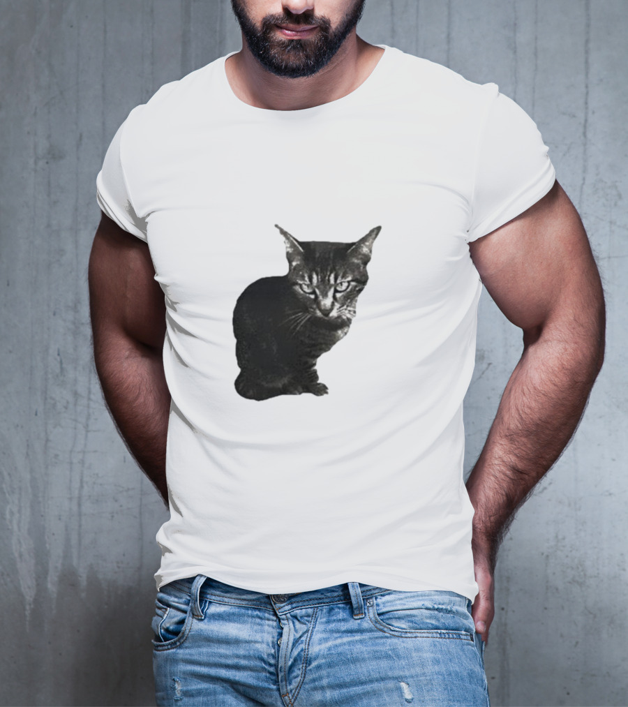 Smileymaya15 How Long Have I Been Here Kitten Cat Black Gray Tabby T-Shirt