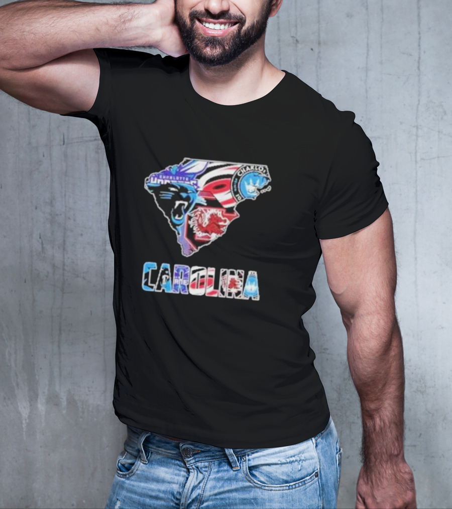 Carolina Panthers South Carolina Gamecocks Charlotte FC Hurricanes Carolina T-Shirt
