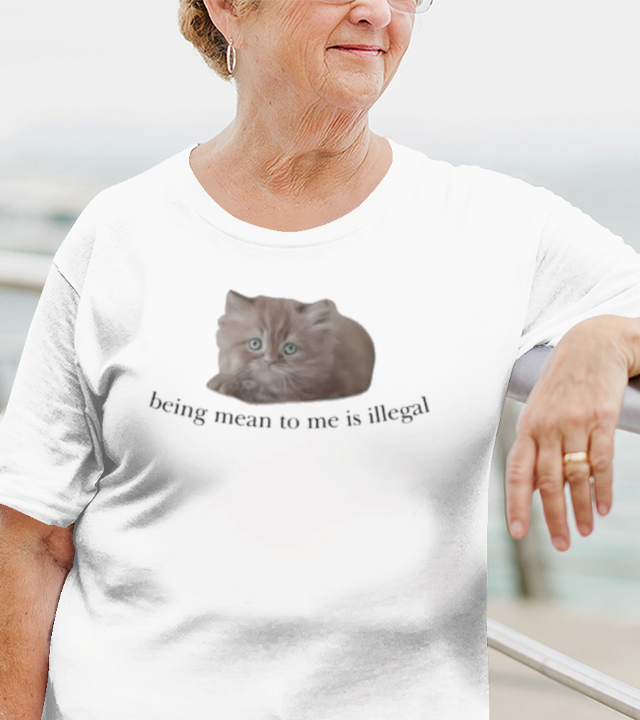 Being Mean To Me Is Illegal Cute Orange Cat T-Shirt