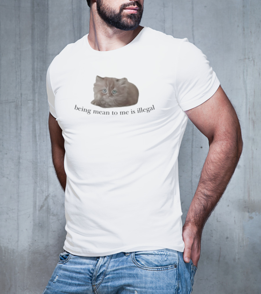 Being Mean To Me Is Illegal Cute Orange Cat T-Shirt