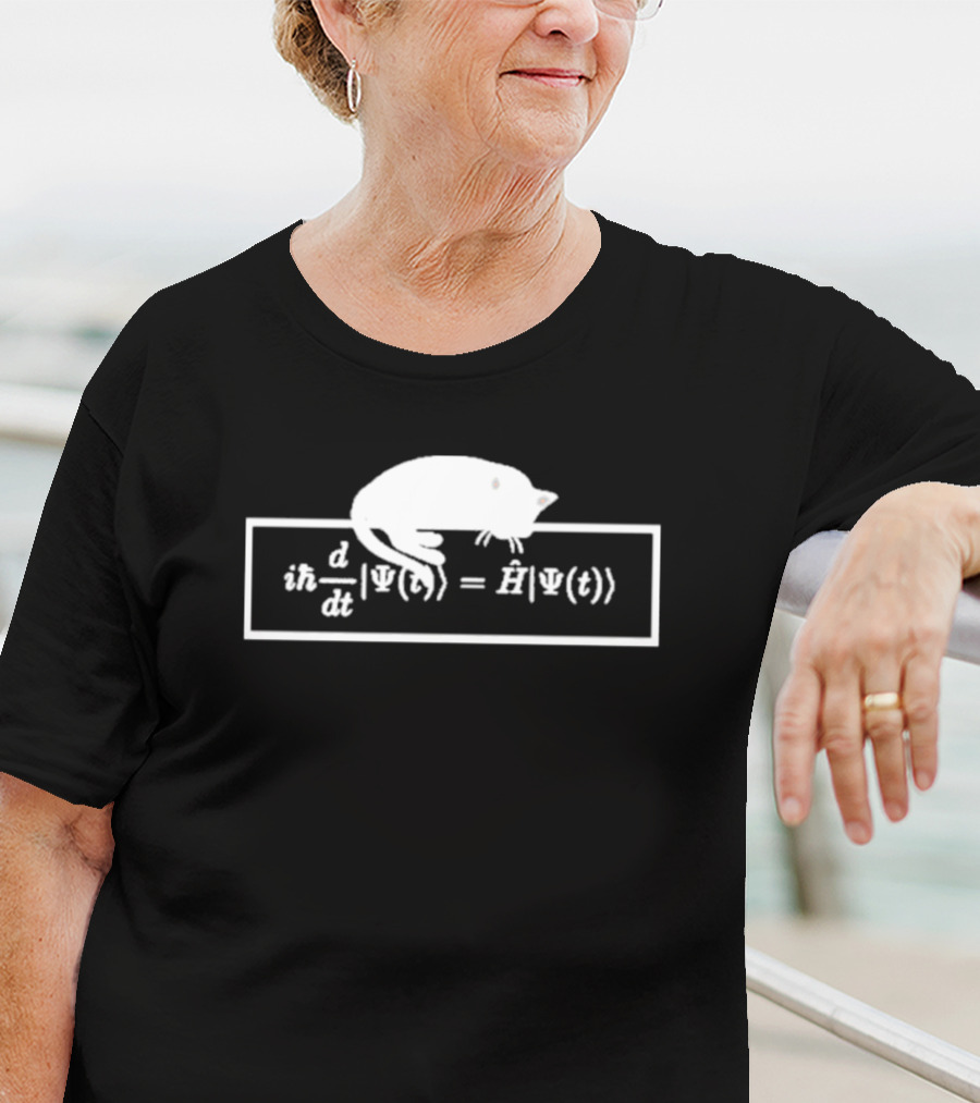 Schrodinger Equation Cat Quantum Physics Humor Psi Function T-Shirt