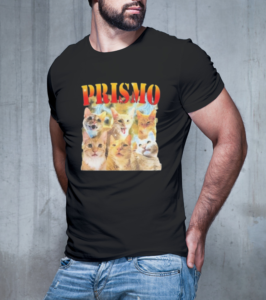 Prismo Cats Colorful Expressions Feline Montage T-Shirt