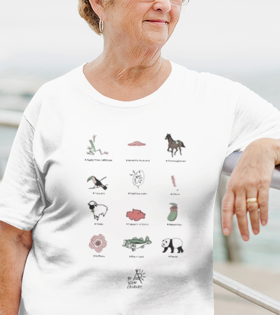 Usa C Gsc Various Motif Back Print Pkt Loose Fitting Garden Snake Manhattan Horse Puffin Dragonfly Great Barrier Reef Poppy Sheep Strawberry Fire Flower Caiman Panda Arles Cezanne T-Shirt