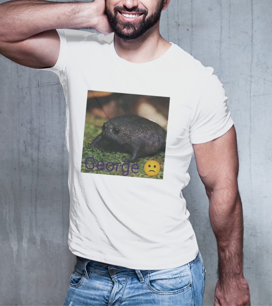 George Sad Frog Meme Inspired Image T-Shirt
