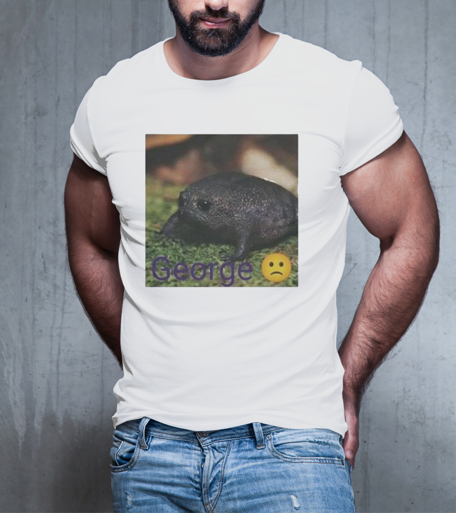 George Sad Frog Meme Inspired Image T-Shirt