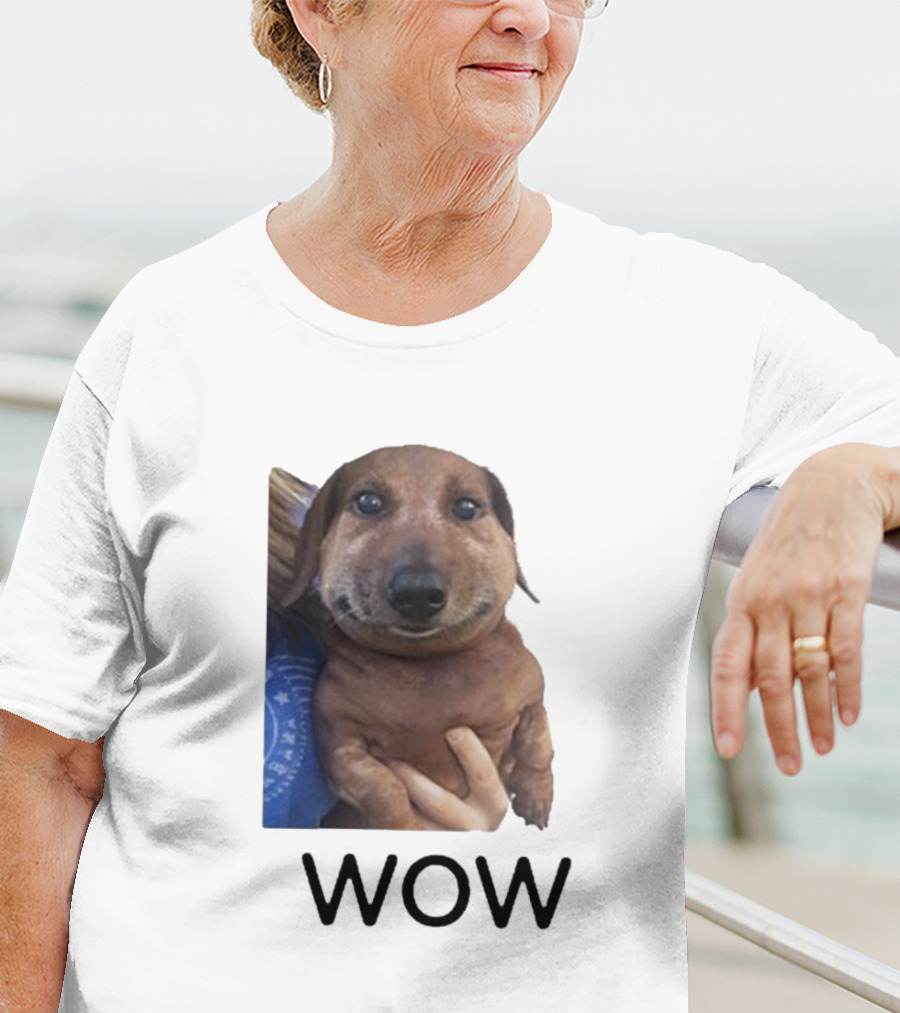 Fallenchungus Wow Dog Meme With Funny Expression T-Shirt