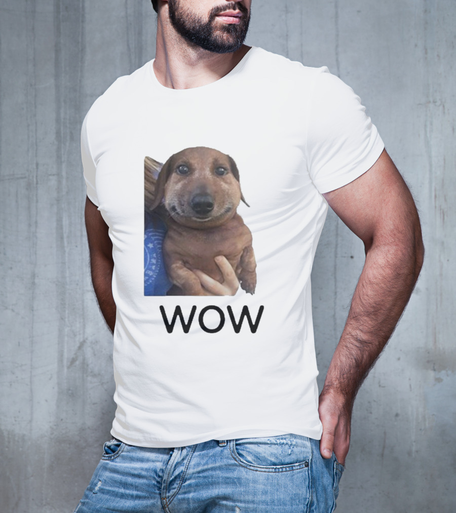 Fallenchungus Wow Dog Meme With Funny Expression T-Shirt