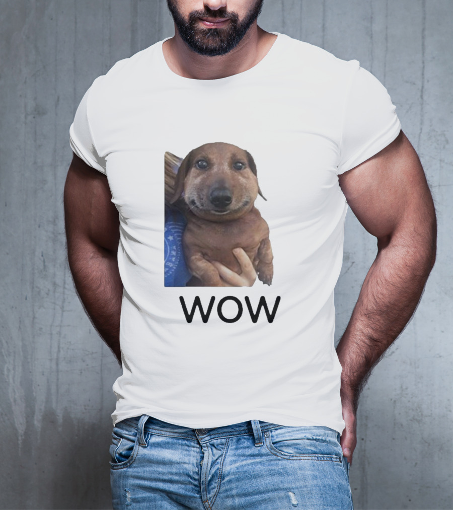 Fallenchungus Wow Dog Meme With Funny Expression T-Shirt