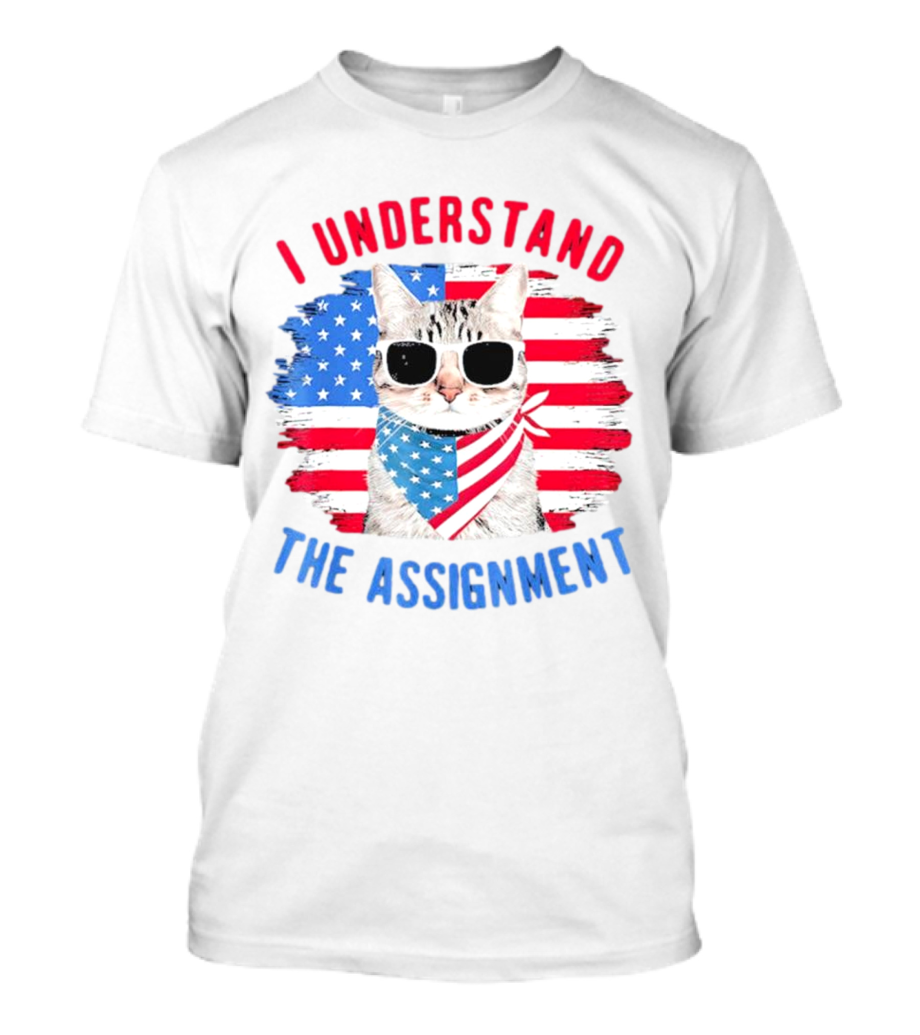 I Understand The Assignment Cat With American Flag Sunglasses And Scarf T-Shirt