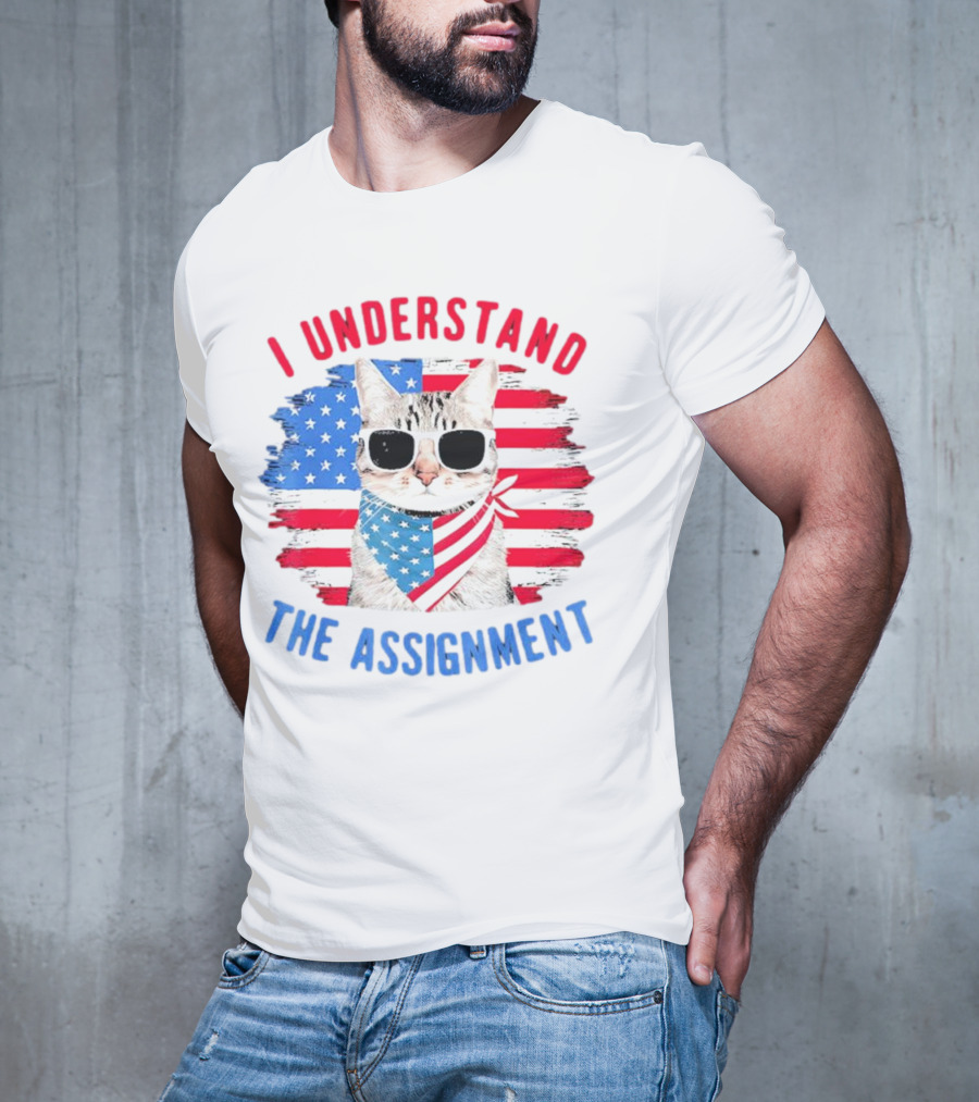 I Understand The Assignment Cat With American Flag Sunglasses And Scarf T-Shirt