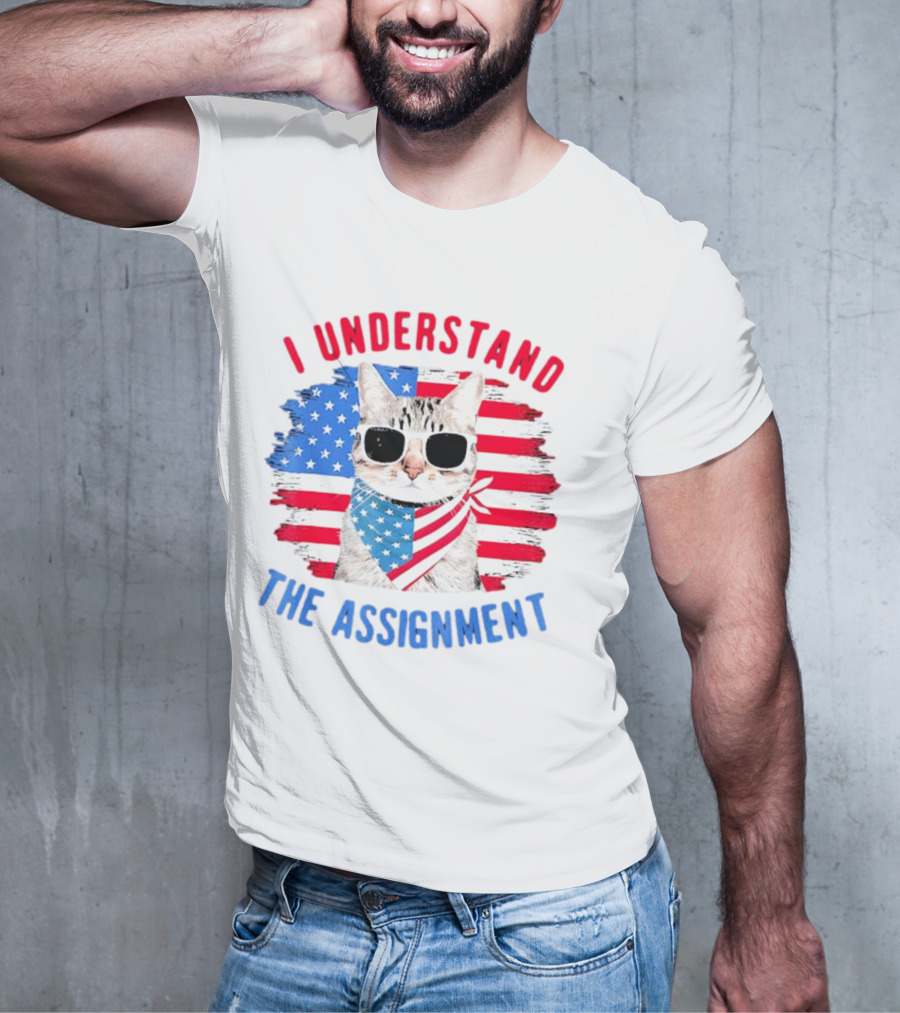 I Understand The Assignment Cat With American Flag Sunglasses And Scarf T-Shirt