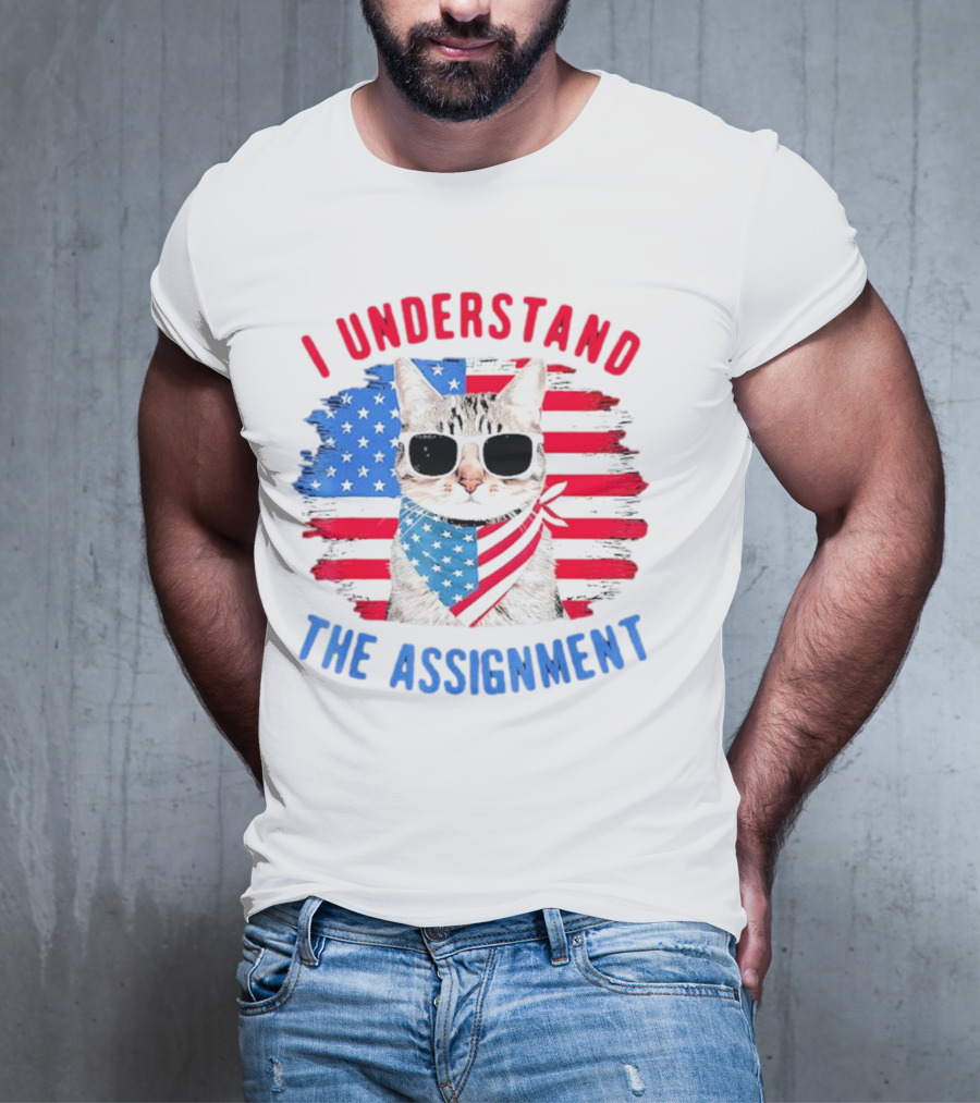 I Understand The Assignment Cat With American Flag Sunglasses And Scarf T-Shirt