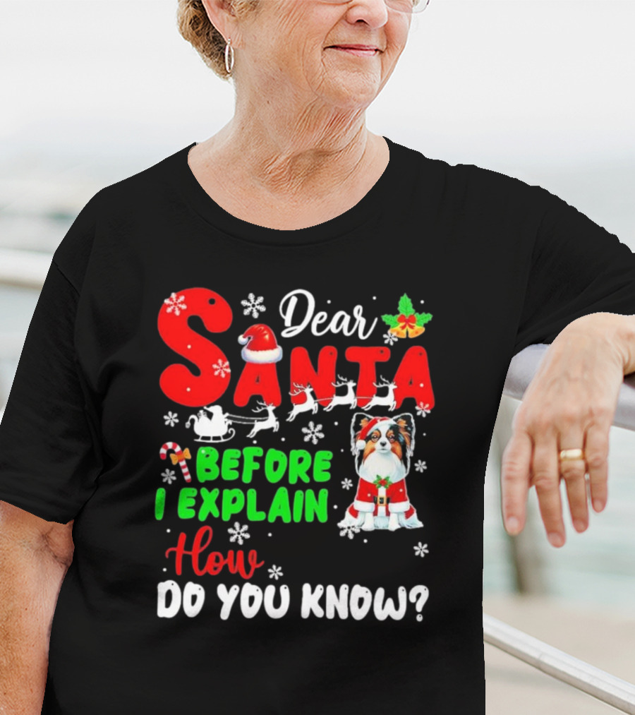 Dear Santa Before I Explain How Do You Know Santa Hat Reindeer Dog Xmas T-Shirt