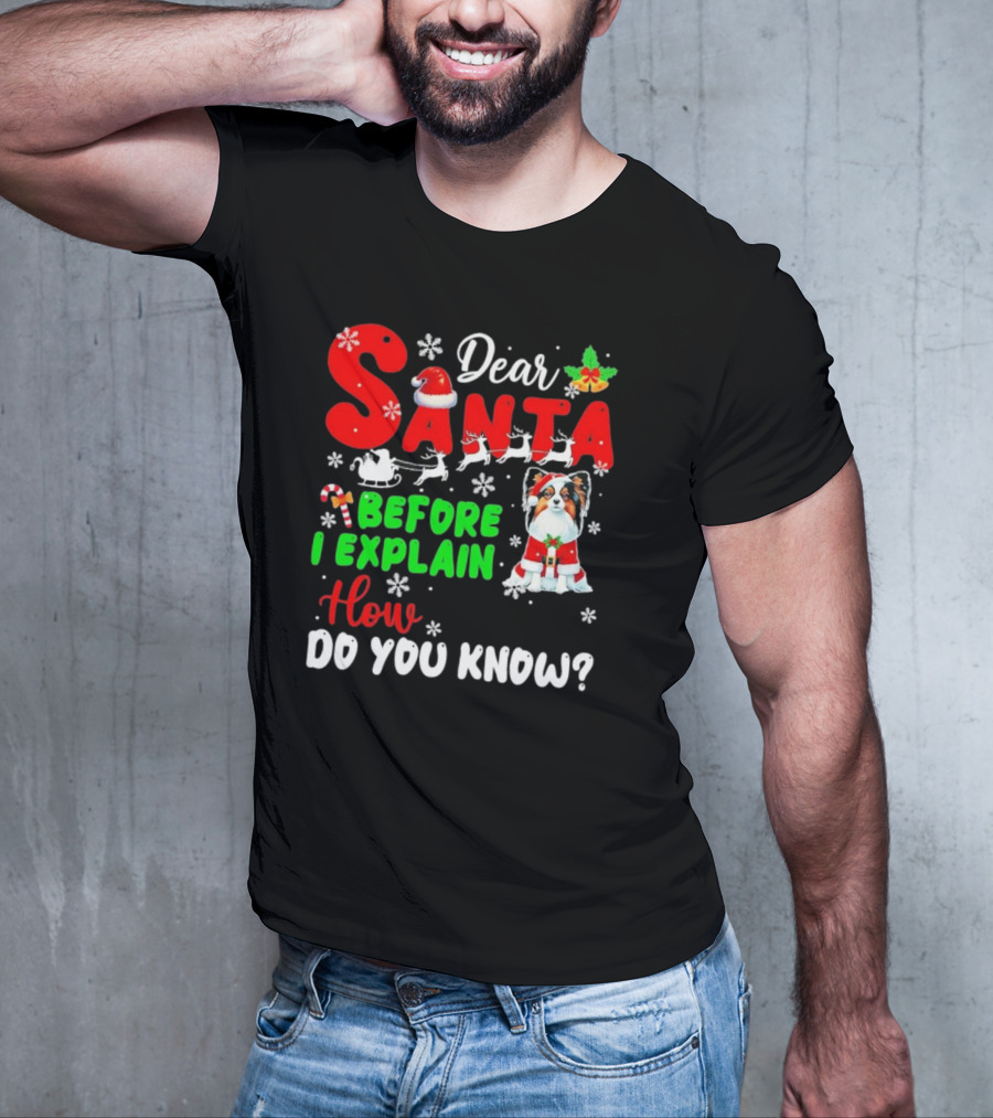 Dear Santa Before I Explain How Do You Know Santa Hat Reindeer Dog Xmas T-Shirt