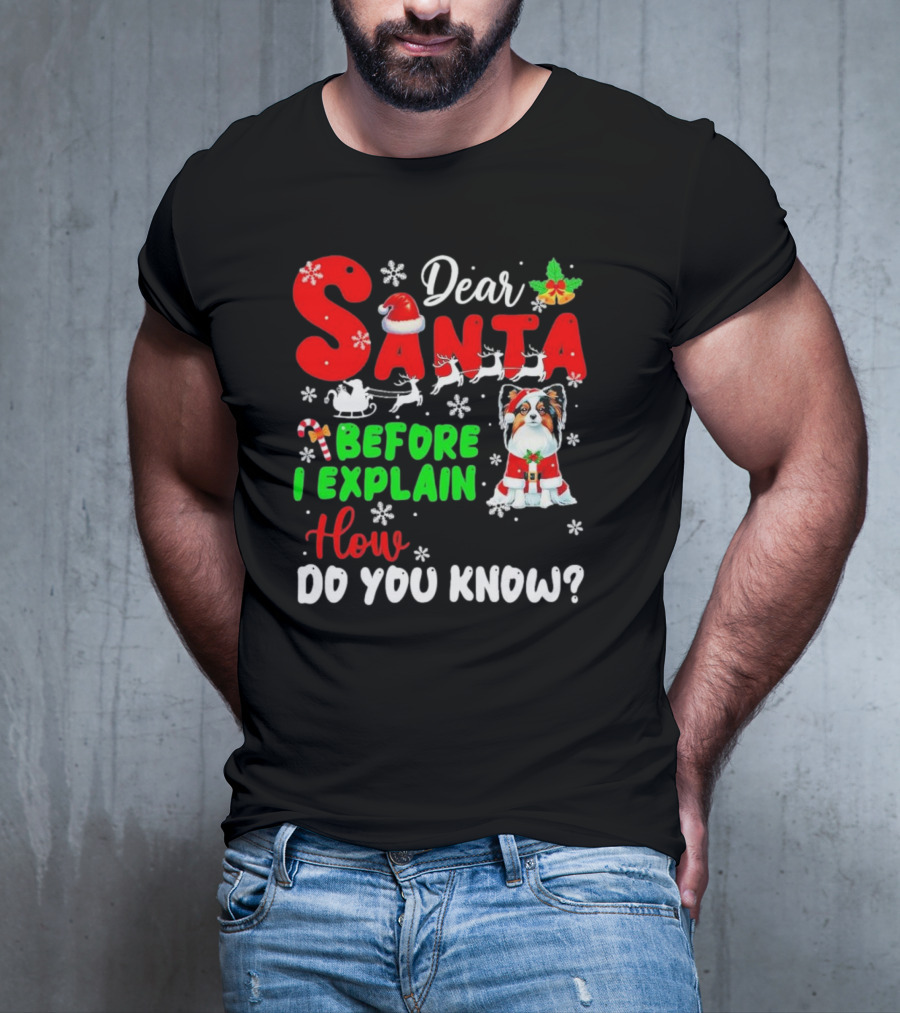Dear Santa Before I Explain How Do You Know Santa Hat Reindeer Dog Xmas T-Shirt