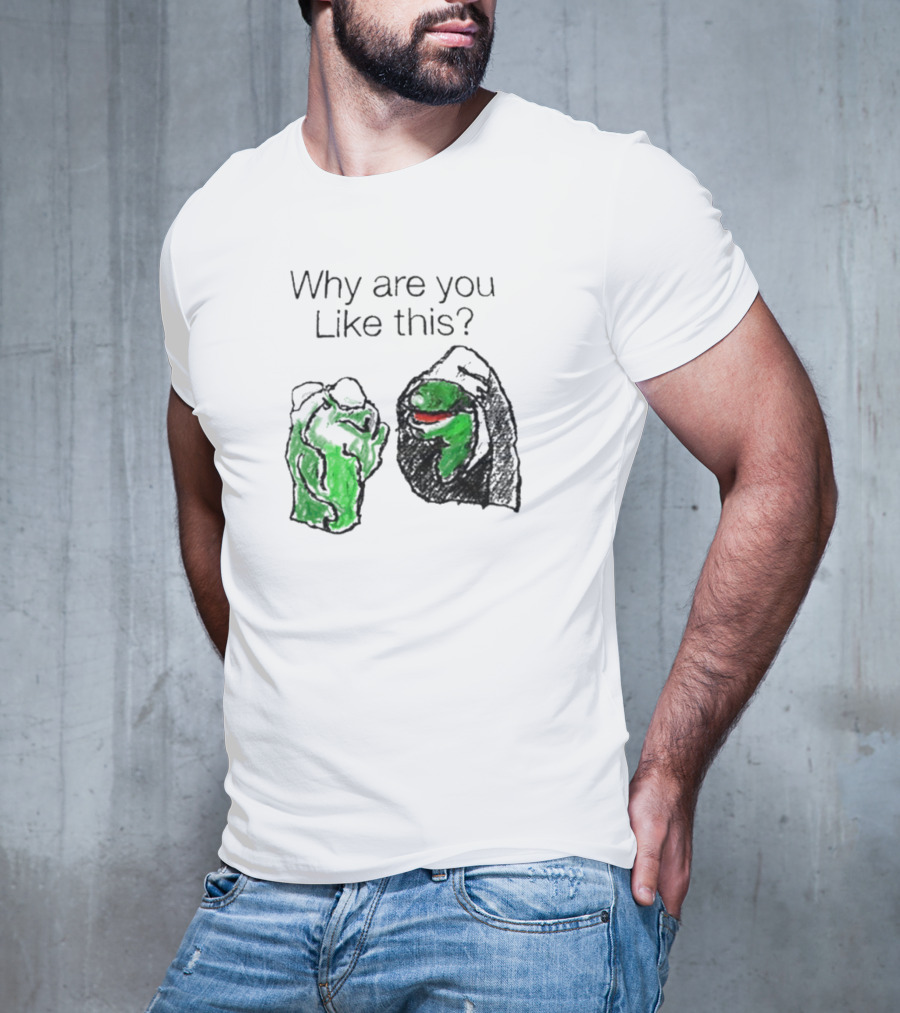 Why Are You Like This Meme Frog Hoodie Inner Self Conflict T-Shirt