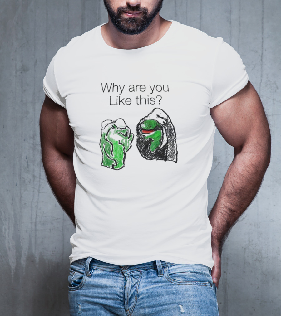 Why Are You Like This Meme Frog Hoodie Inner Self Conflict T-Shirt