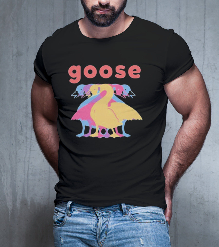 Goose 5 Multi-Colored Layered T-Shirt