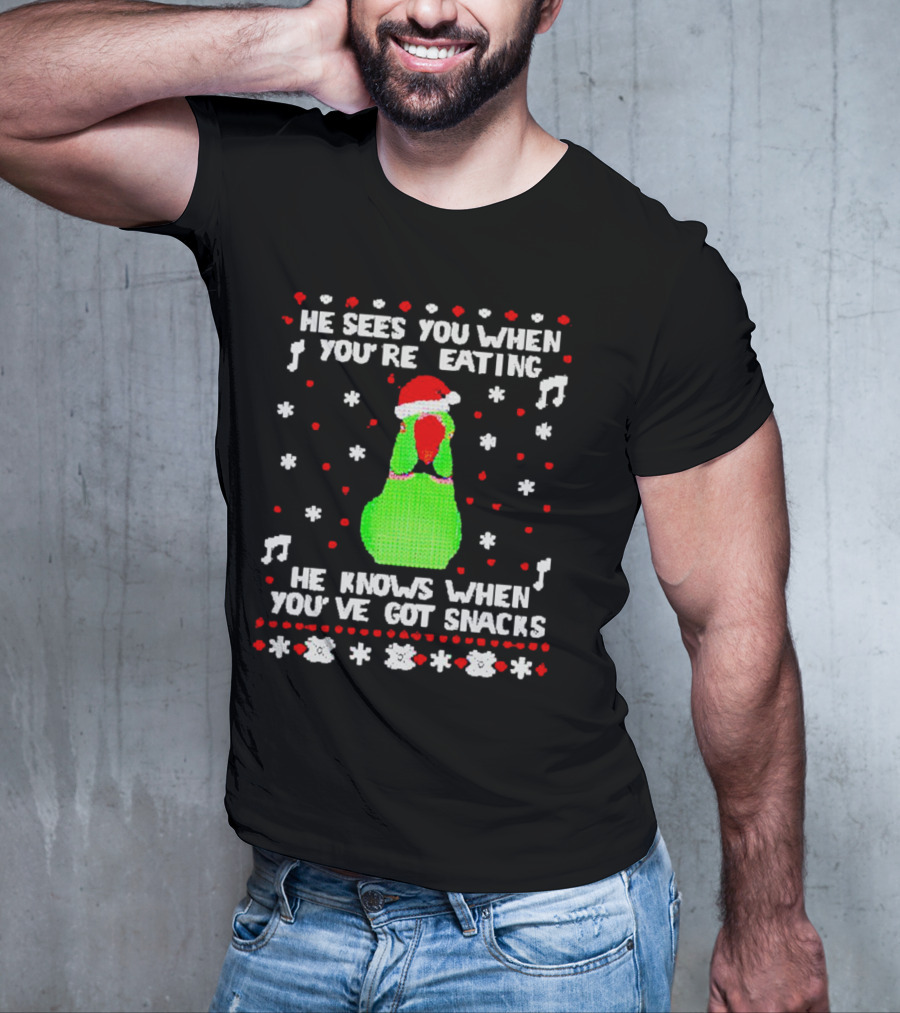 Parrot Ugly Christmas He Sees You When You’re Eating He Knows When You’ve Got Snacks T-Shirt