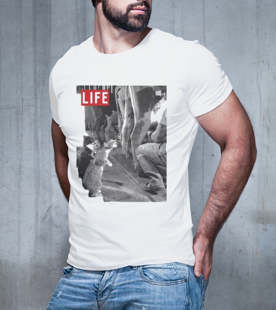 Life Magazine Cats Enjoying Fresh Milk T-Shirt