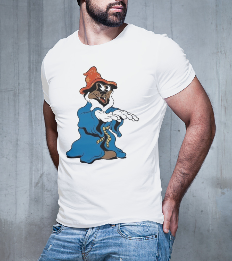 The Dudes It’s All Wavy Wizard Dog In Blue Robe With Orange Star Hat T-Shirt