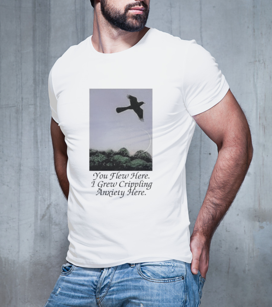 You Flew Here I Grew Crippling Anxiety Here Plane And Nature Scene T-Shirt