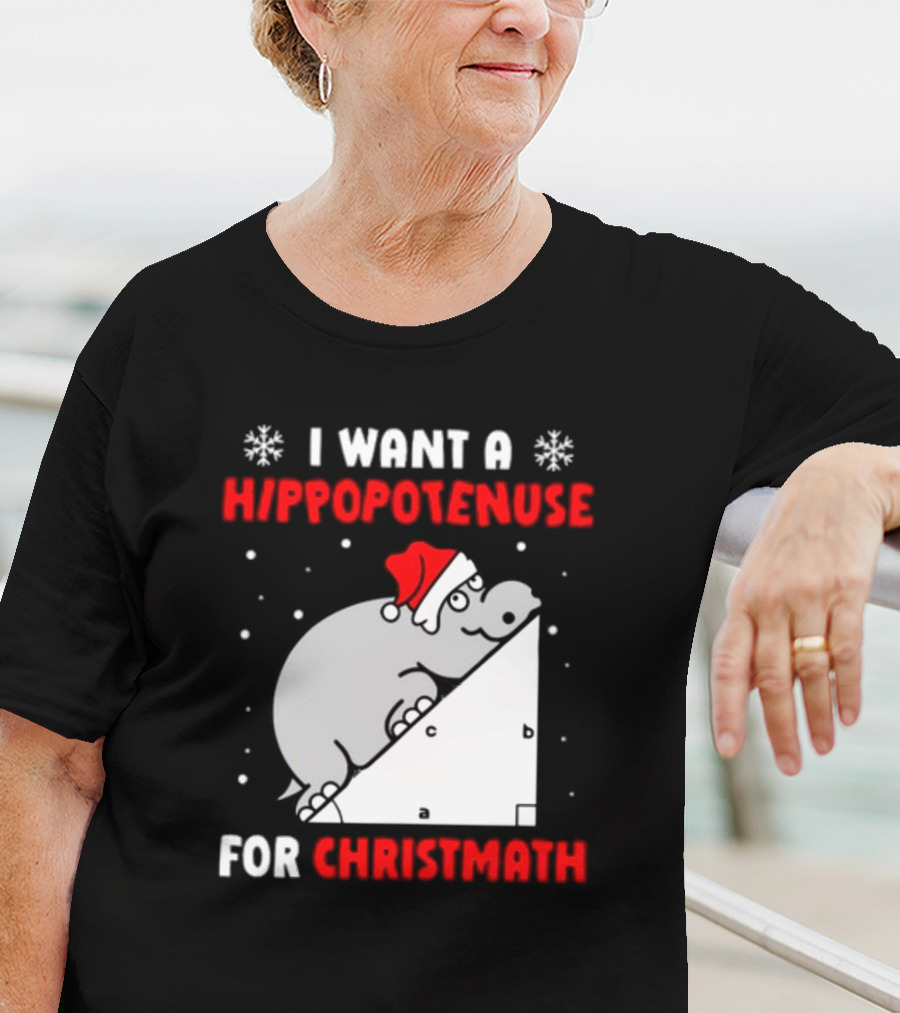 I Want A Hippopotenuse For Christmath Santa Hippo Geometry T-Shirt