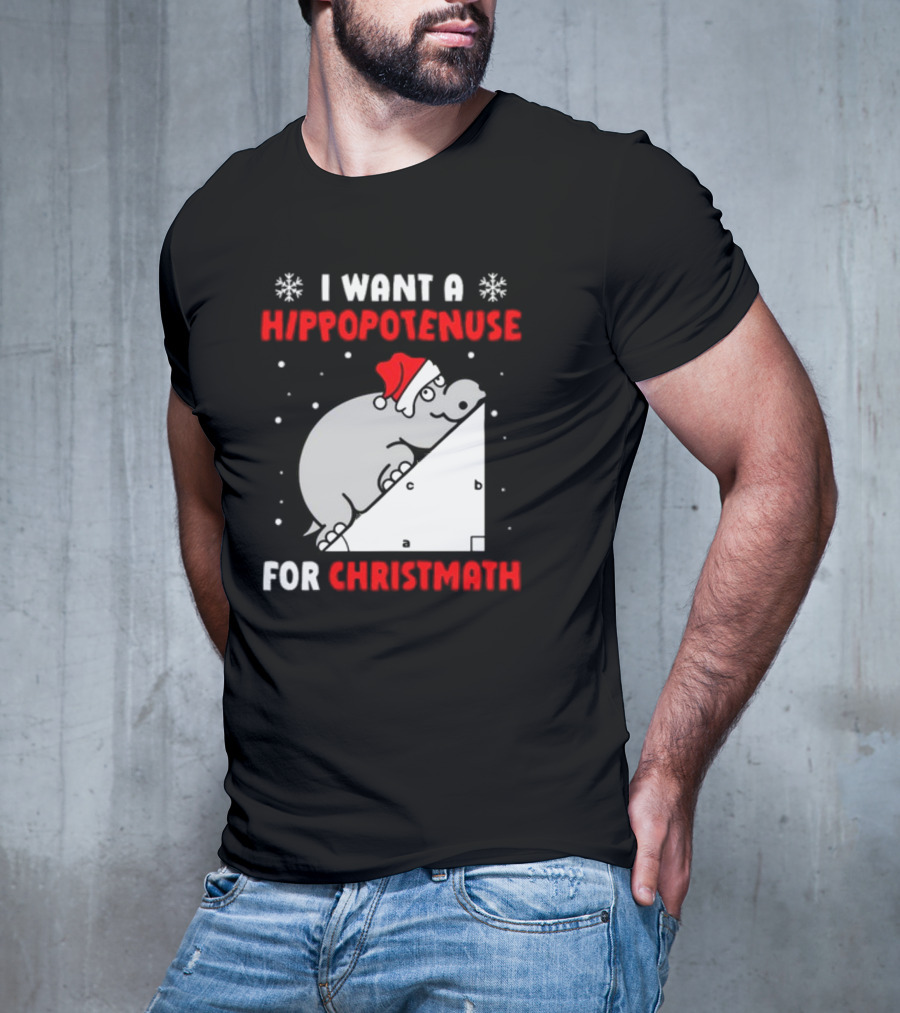 I Want A Hippopotenuse For Christmath Santa Hippo Geometry T-Shirt
