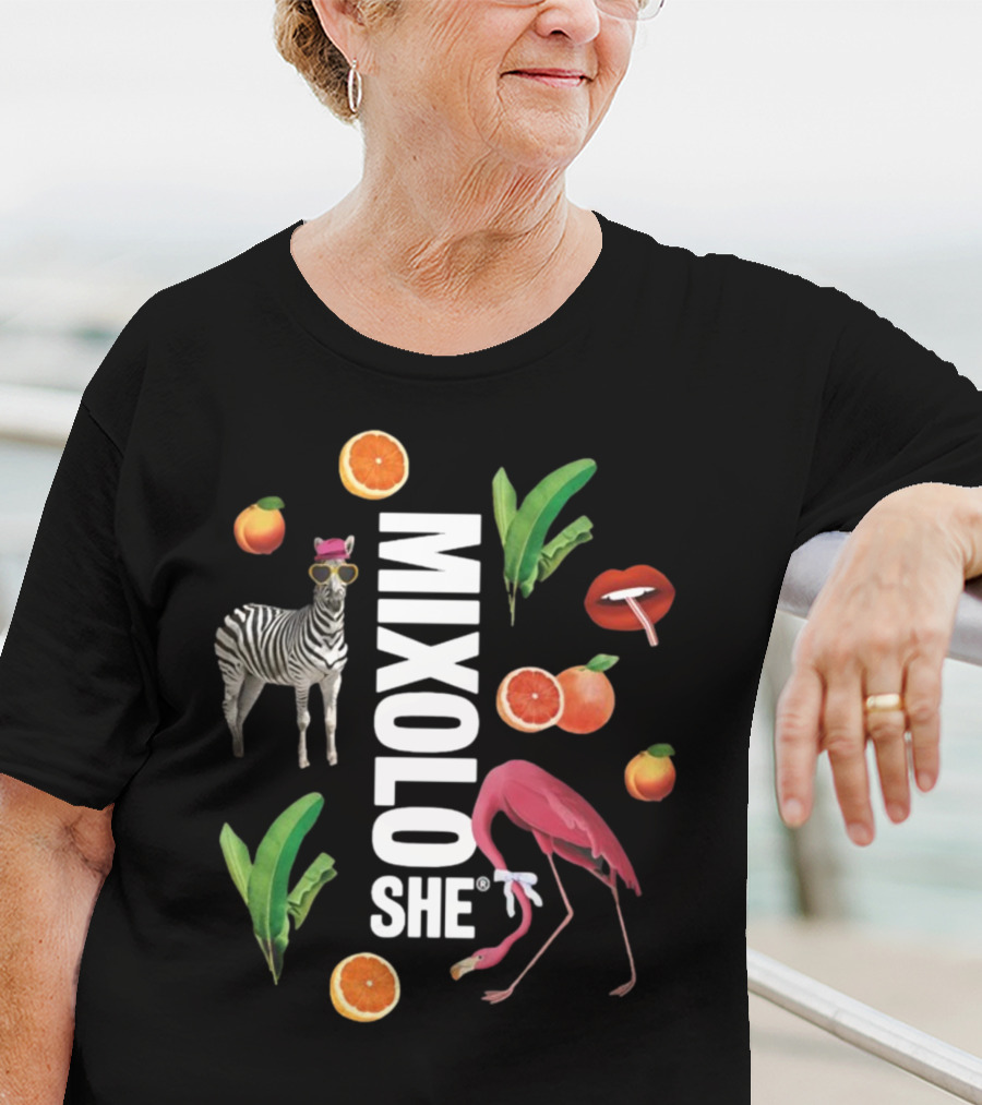 Mixoloshe Zebra Flamingo Lips With Fruits And Leaves T-Shirt