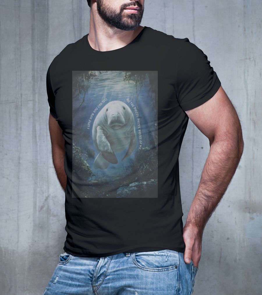 Waveygoods I Love How You Can Tell All The Pieces Pieces Pieces Of Me Manatee Ocean Scene T-Shirt