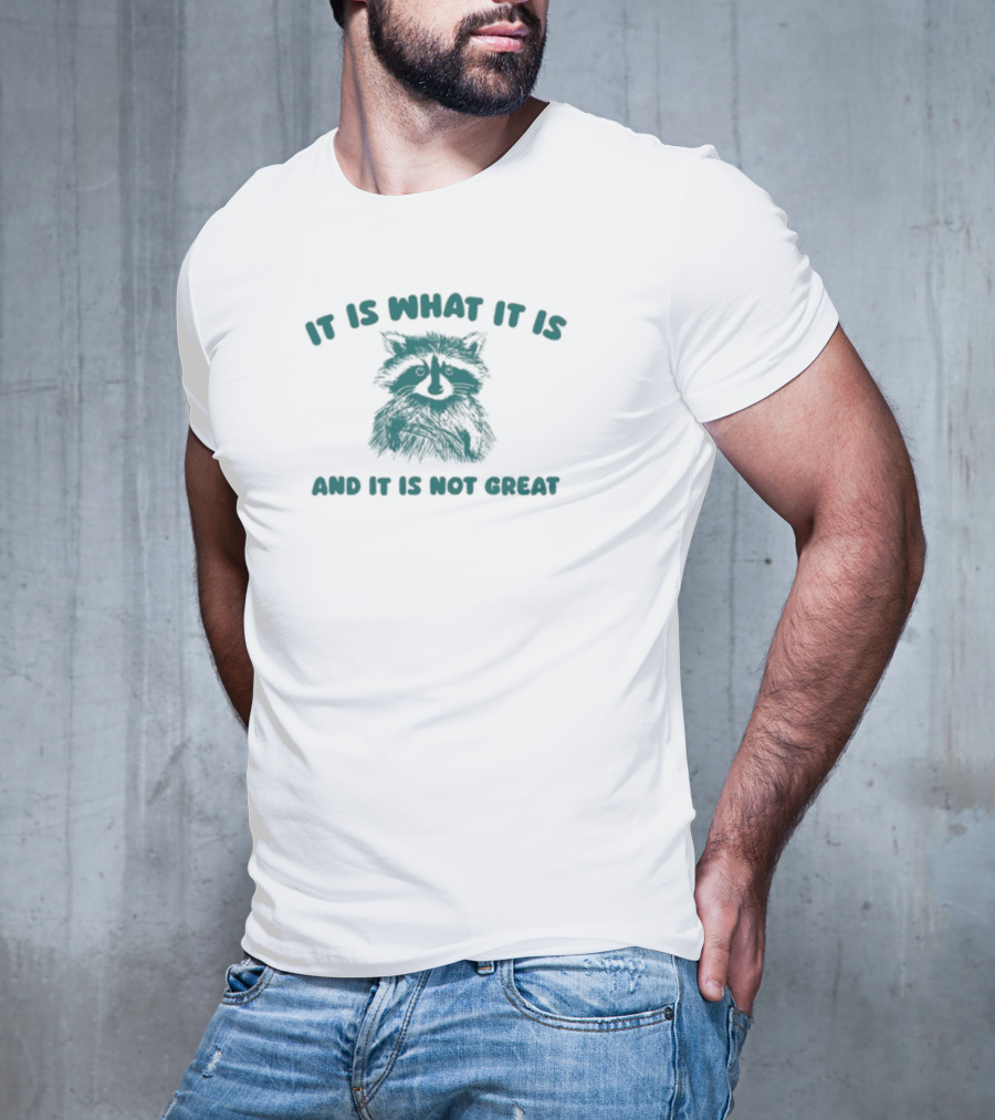 It Is What It Is And It Is Not Great Raccoon T-Shirt