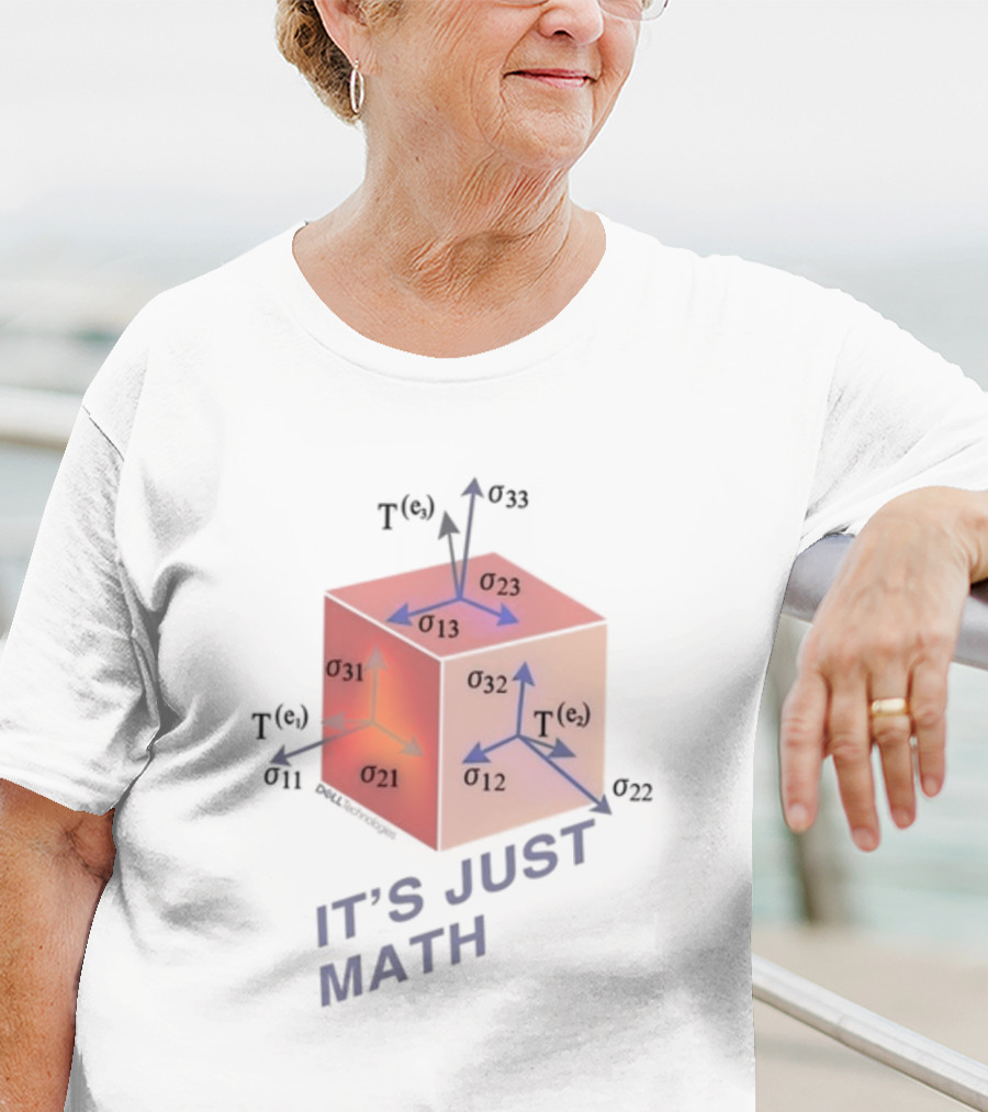 Jeff Clarke Wearing It's Just Math Physics Cube Tensor Notation T-Shirt