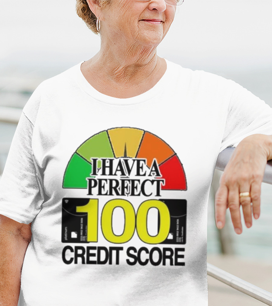 I Have A Perfect 100 Credit Score Gauge Graph T-Shirt
