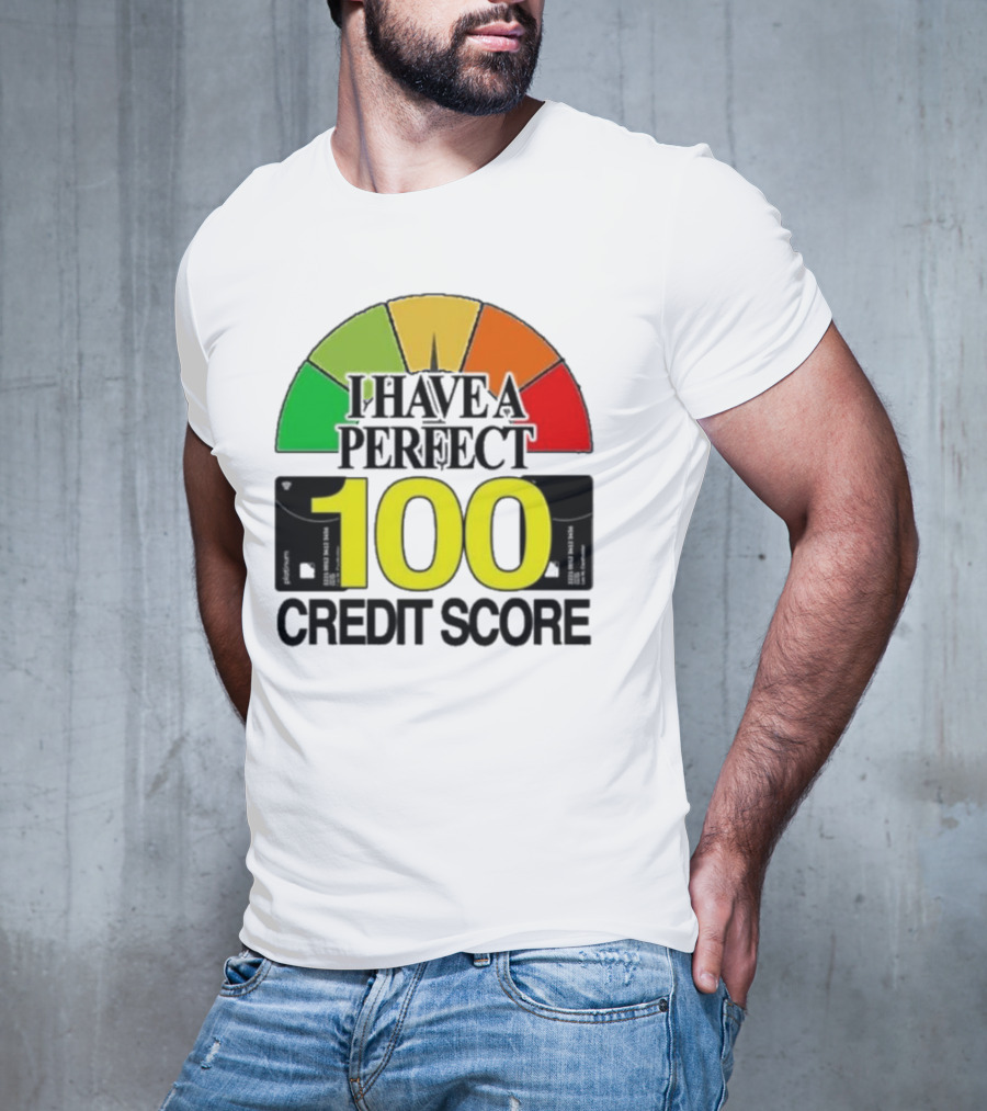 I Have A Perfect 100 Credit Score Gauge Graph T-Shirt