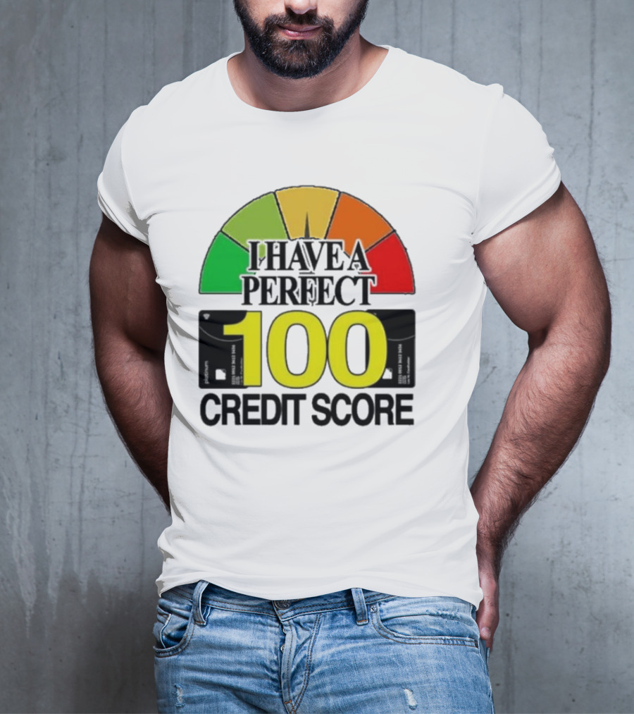 I Have A Perfect 100 Credit Score Gauge Graph T-Shirt