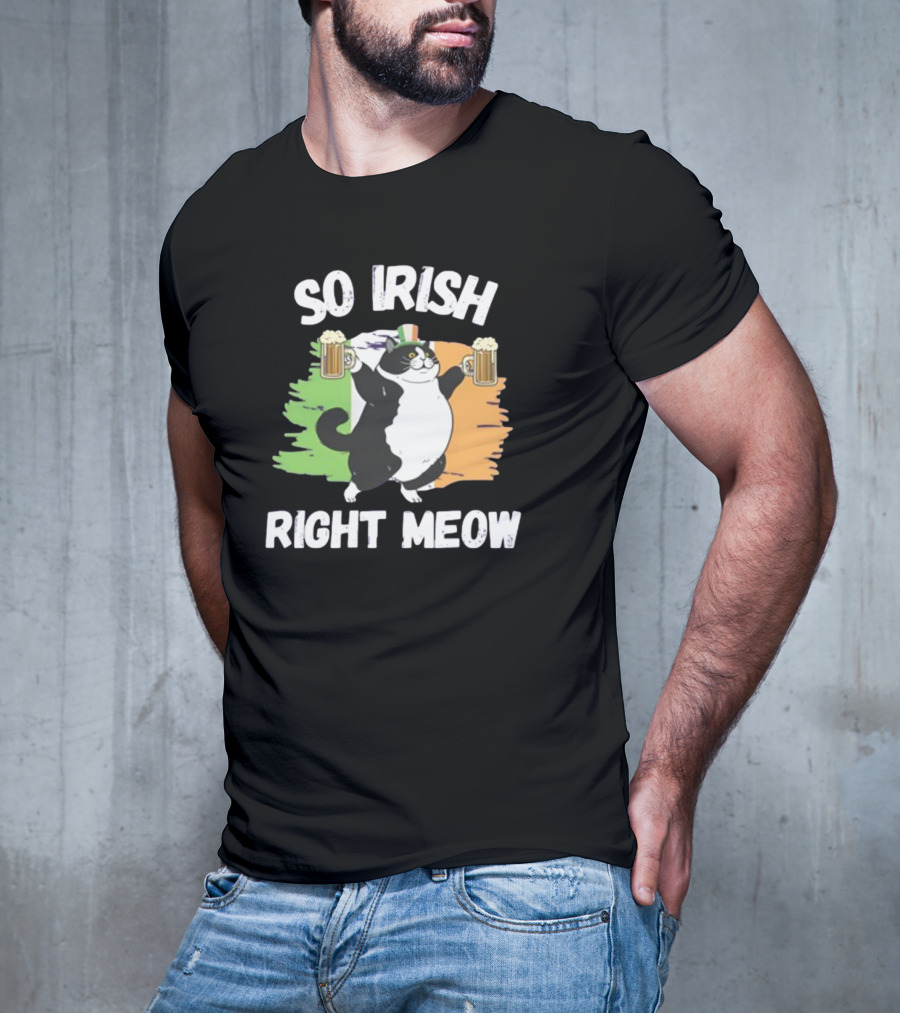 So Irish Right Meow Cat Holding Beer With Irish Flag In Background T-Shirt