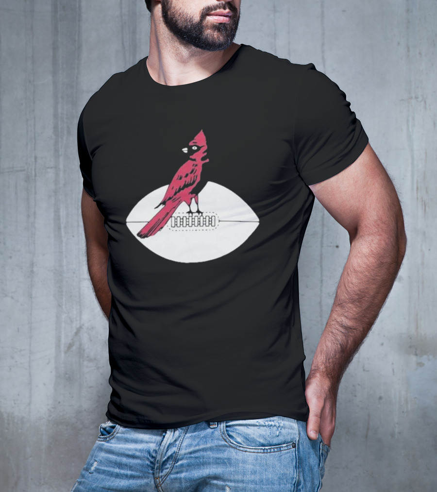 Arizona Cardinals Vintage Cardinal On Football T-Shirt