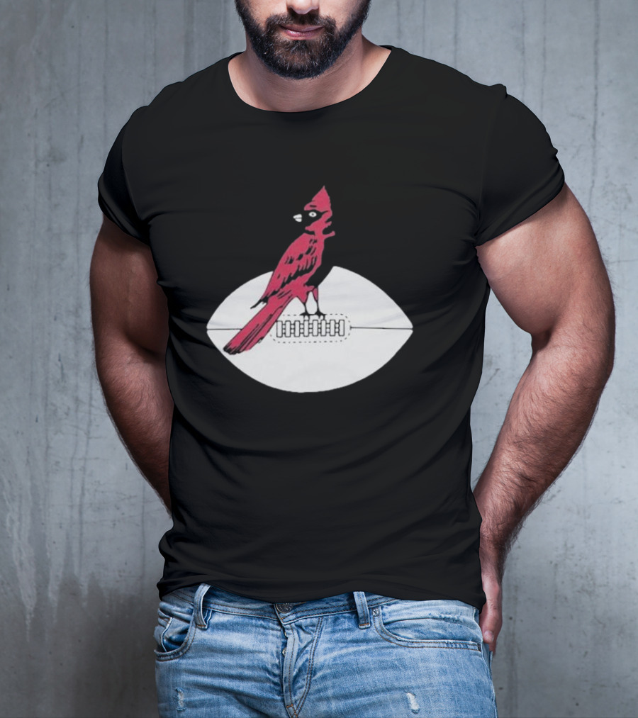 Arizona Cardinals Vintage Cardinal On Football T-Shirt