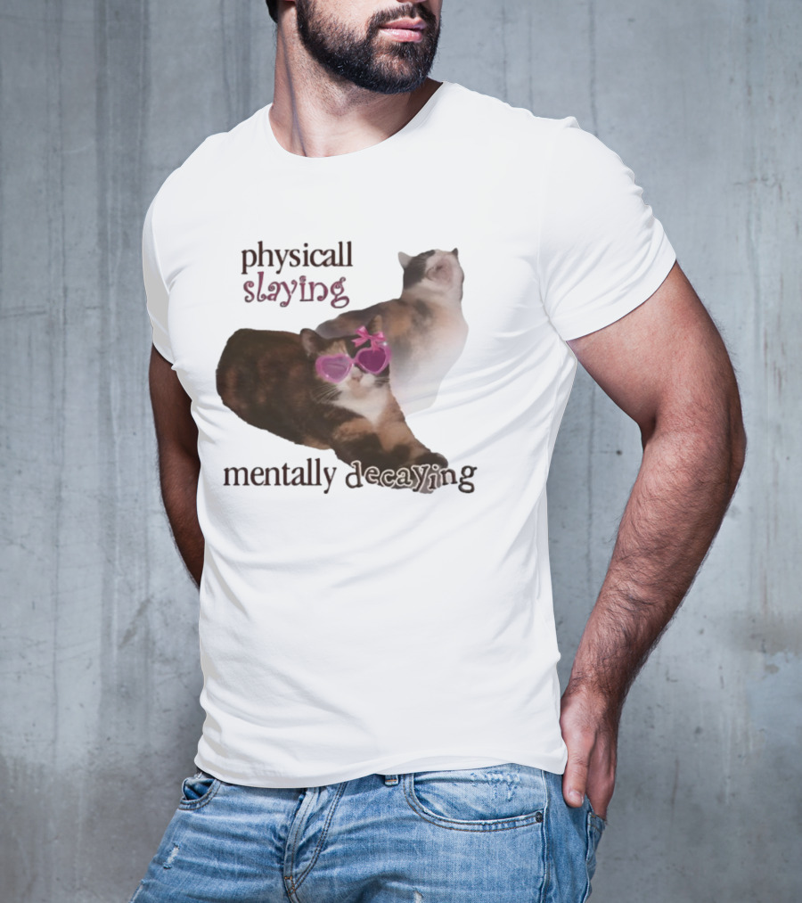 ```Snazzyseagull Physically Slaying Mentally Decaying Cat With Pink Heart Sunglasses``` T-Shirt