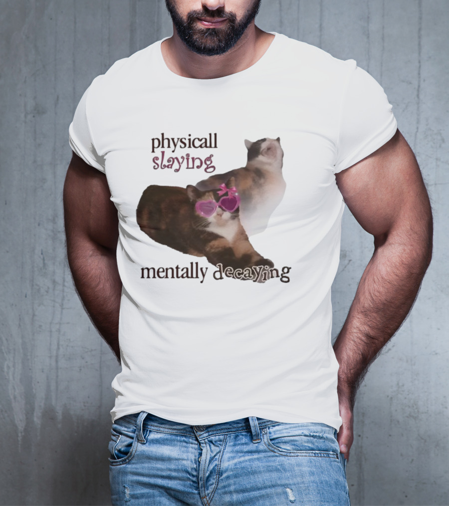 ```Snazzyseagull Physically Slaying Mentally Decaying Cat With Pink Heart Sunglasses``` T-Shirt