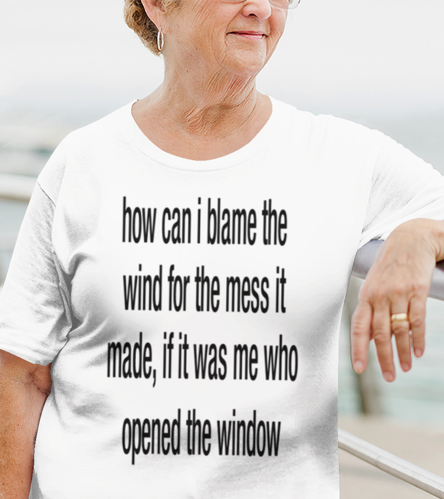 How Can I Blame The Wind For The Mess It Made Life Lessons Manifestations T-Shirt