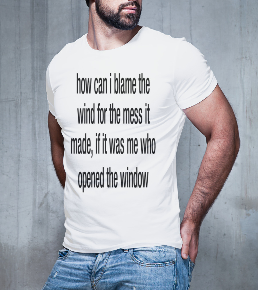 How Can I Blame The Wind For The Mess It Made Life Lessons Manifestations T-Shirt