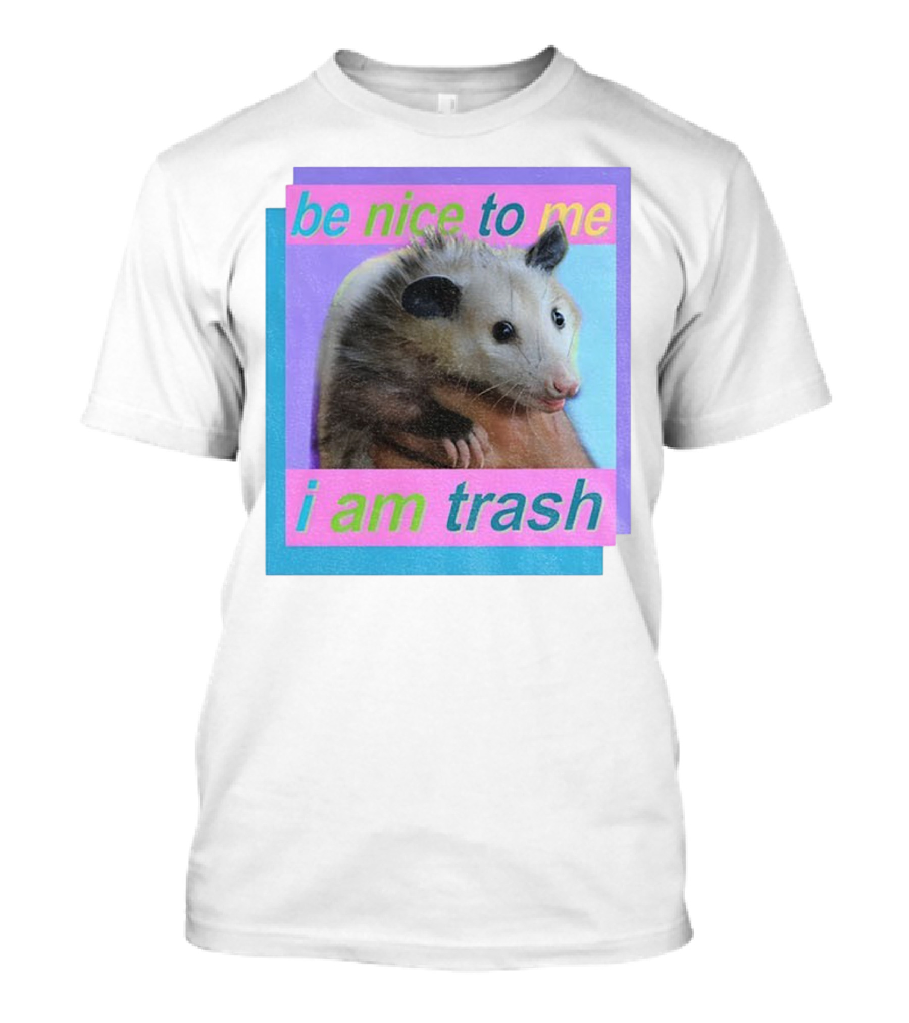 Be Nice To Me I Am Trash Possum Vintage T-Shirt