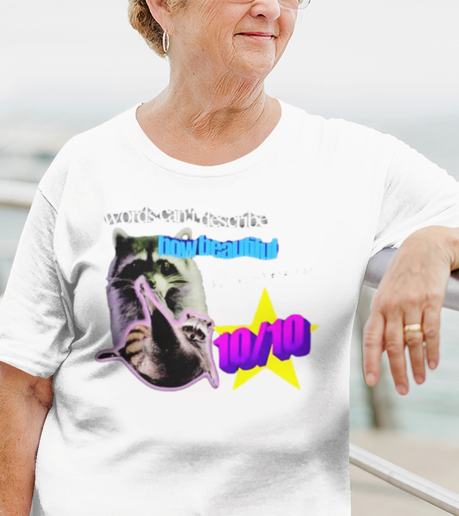 Words Can't Describe How Beautiful I Am But Numbers Can 10/10 Raccoon Star T-Shirt