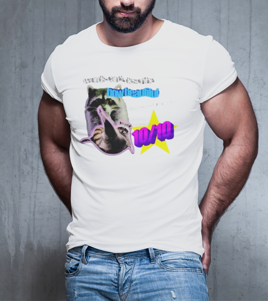 Words Can't Describe How Beautiful I Am But Numbers Can 10/10 Raccoon Star T-Shirt